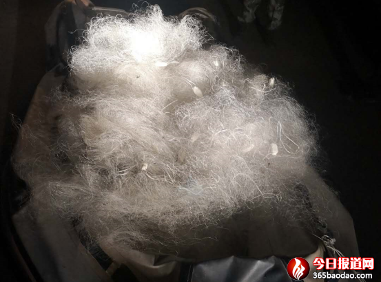 黑龍江賓縣:倆男子趁夜色偷捕魚(yú) 沒(méi)等下網(wǎng)就進(jìn)了公安局31.png