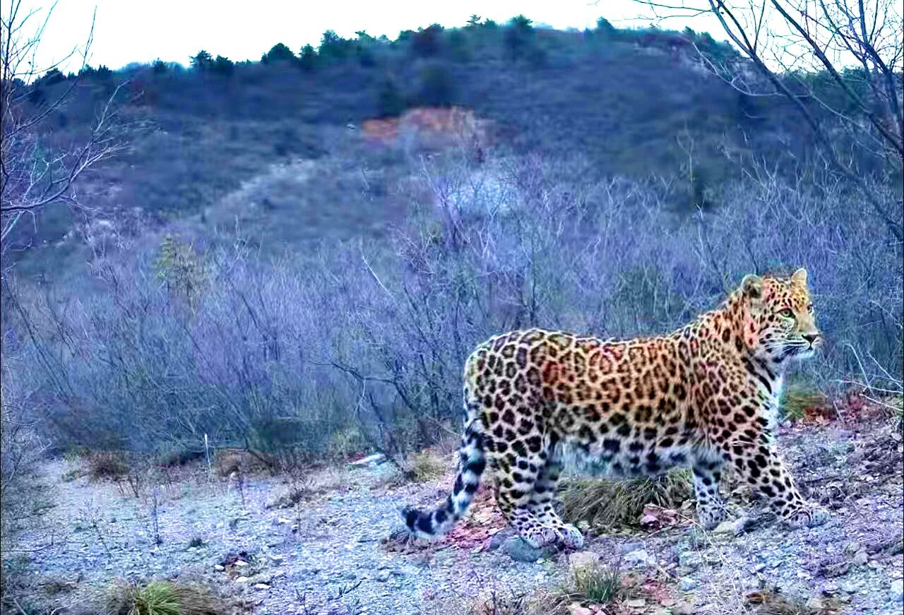 A׬F(xin)ϲۿh״ĵAӰ