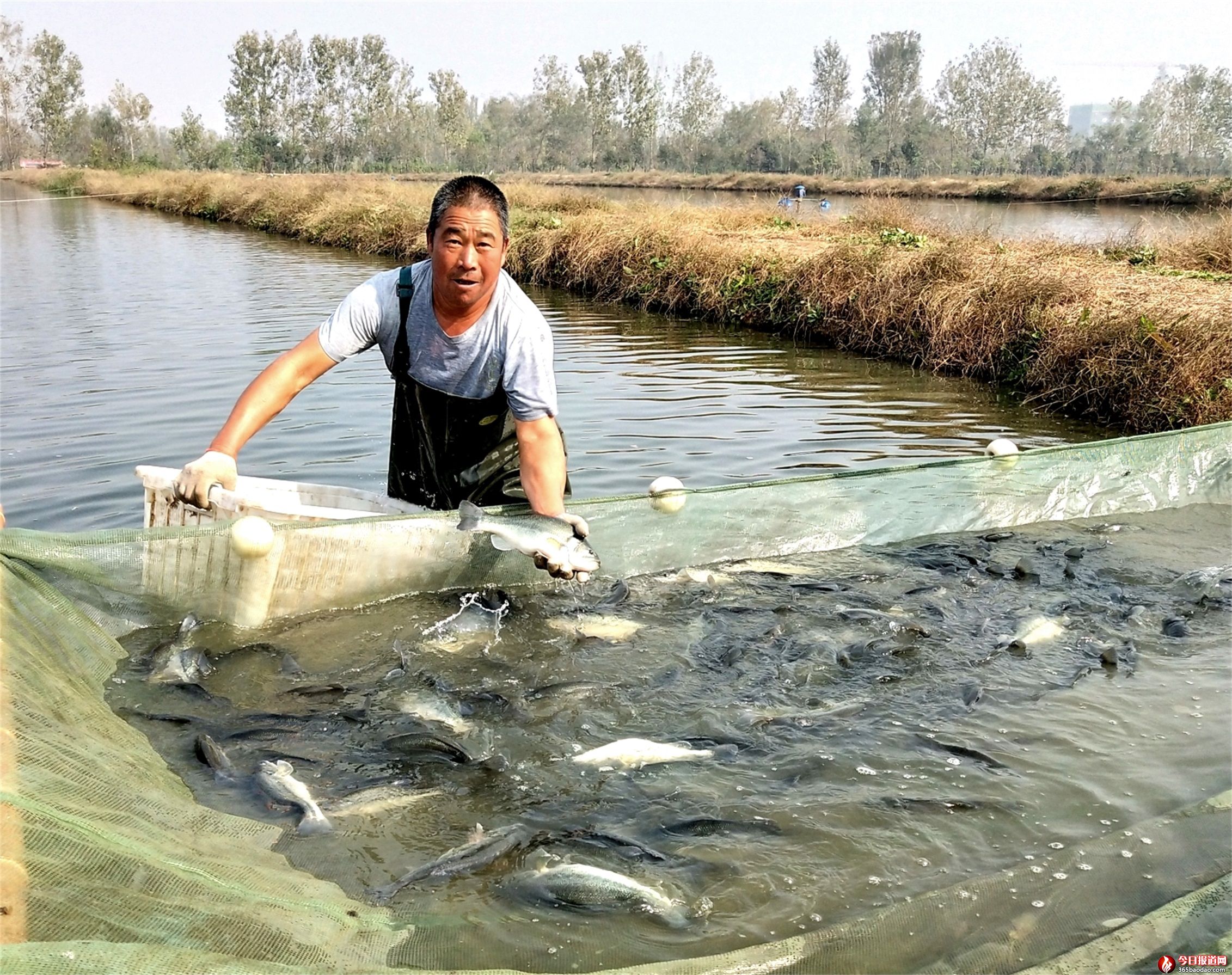 捕魚4.jpg