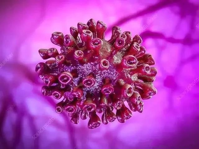 ػů¹ڲΕrʧҵf