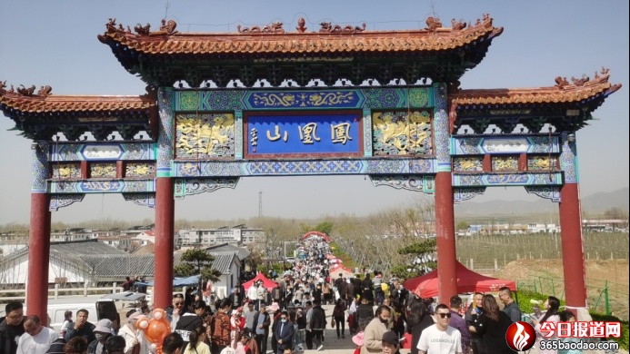 梨花飛雪 好客寧陽(yáng)0330103.png