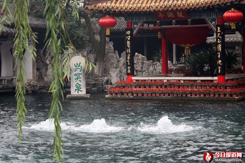 趵突泉_副本.jpg