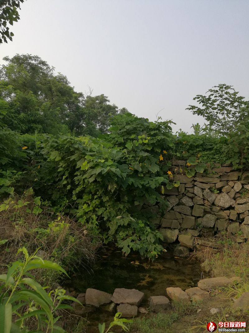 黃河自魚(yú)山腳下流過(guò)_副本.jpg