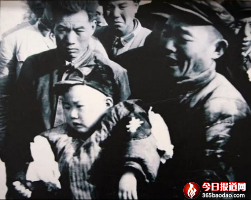 焦裕祿夫婦是我的再生父母1568.png