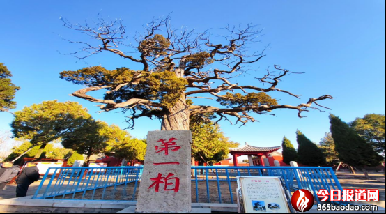 王青蘭《大汶河從這里流向遠(yuǎn)方》3844.png