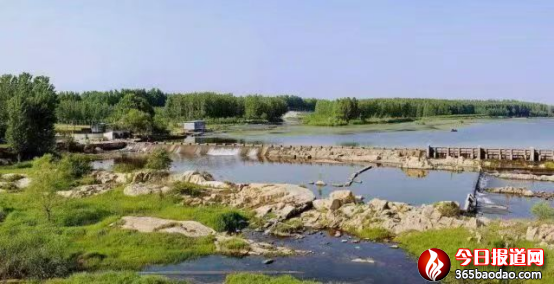 王青蘭《大汶河從這里流向遠(yuǎn)方》1964.png