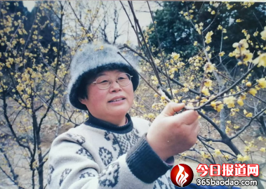 焦裕祿永遠活在人民心中2495.png
